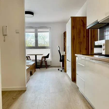 Easy Rent- Saski Point, 24h Check-in Lublin